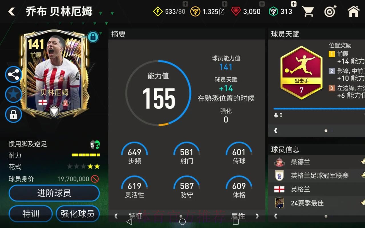 本届世界杯荷兰贝林厄姆焦点对决深度解读