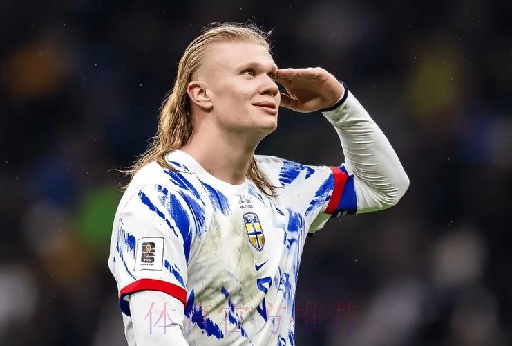 2026世界杯法国哈兰德赛程分析权威解读